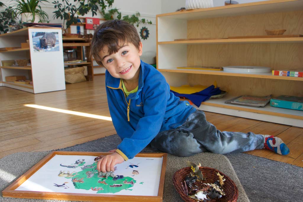 Child plays with toy animals